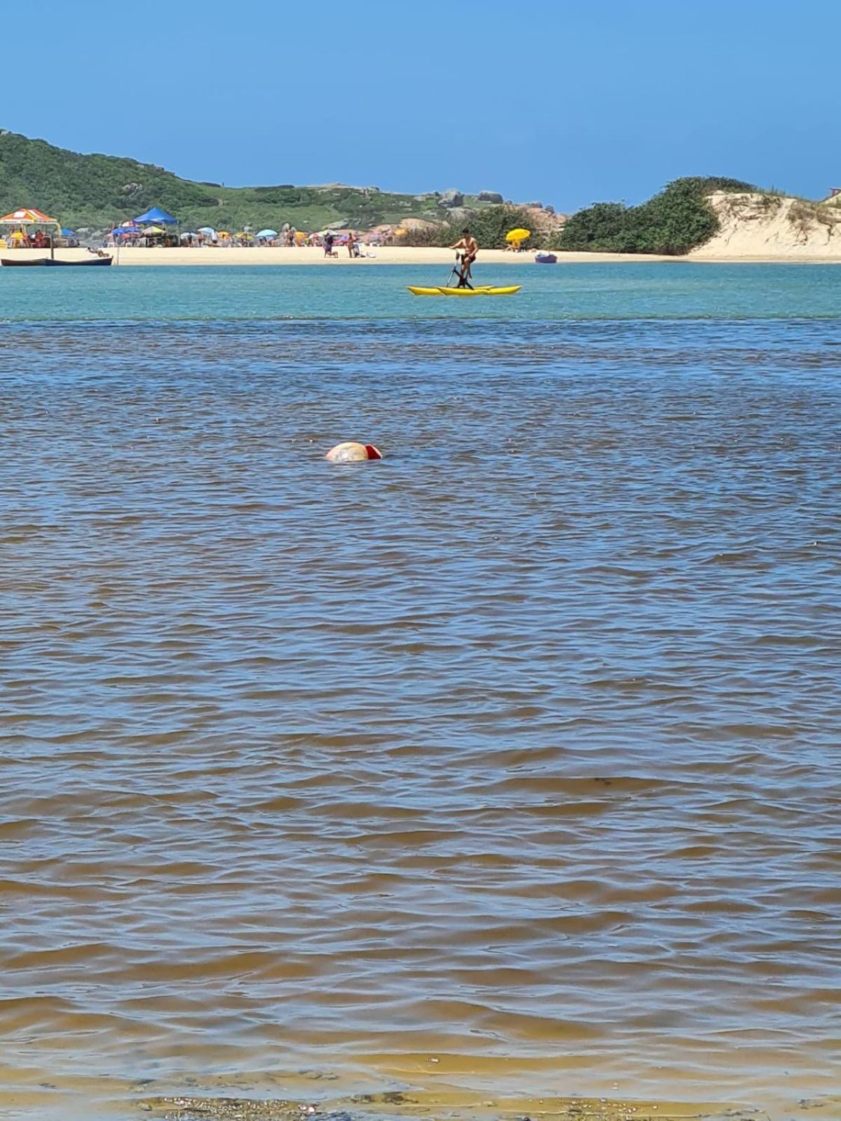 Encontro Das Aguas Guarda do Embaú Exteriör bild